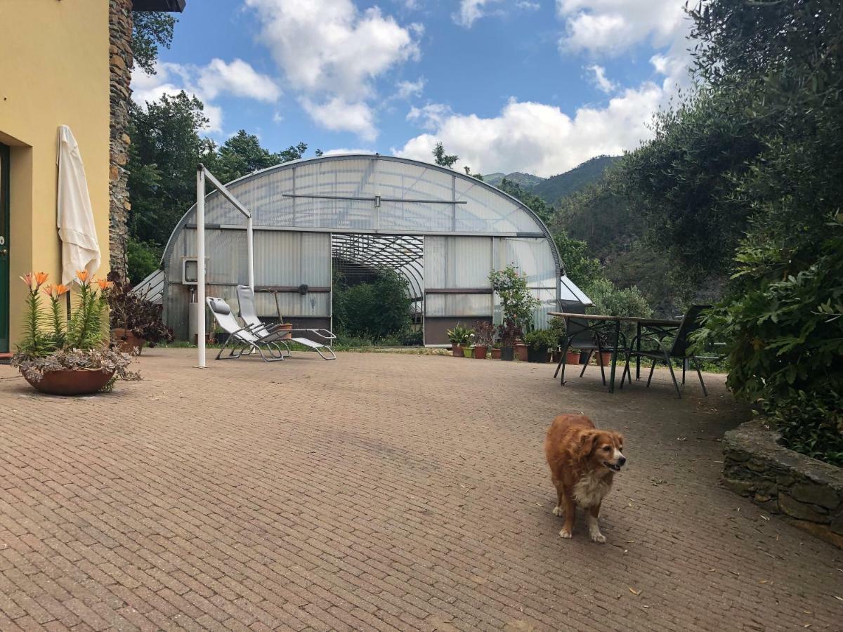 Agriturismo Argentea Villa Arenzano Luaran gambar